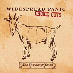 Widespread Panic : Choice Cuts : The Capricorn Years 1991-1999